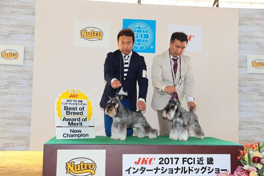 ビンテージ極美品　カールヘルム　ベスト　シュナウザー　ミニシュナ　メンズM 愛犬ミニチュアシュナウザーのウエイトドール「マイペット